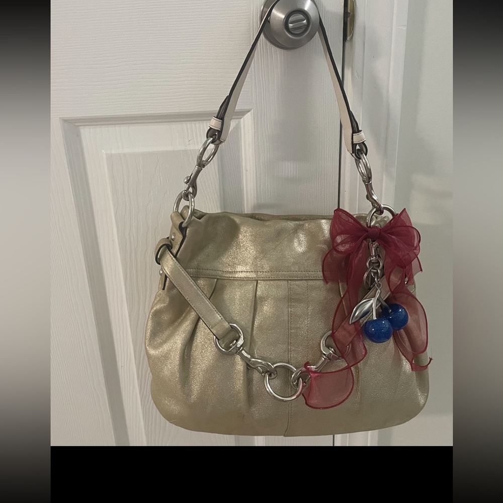 Coach bag medium